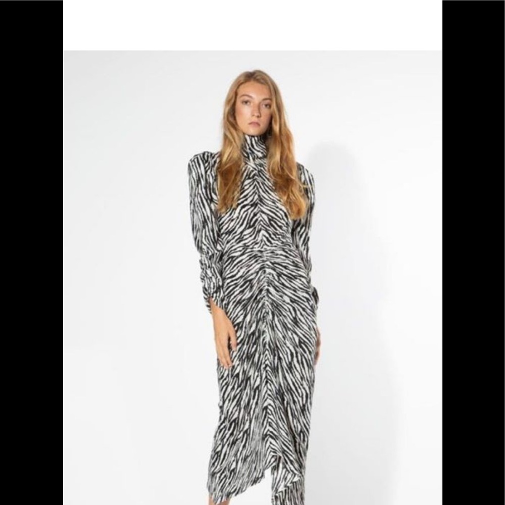Long sleeve zebra print midi Dress.